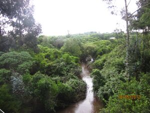Kenya6.jpg