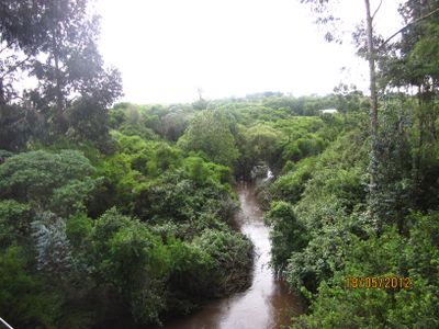 Kenya6.jpg
