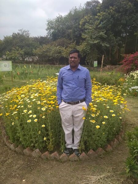 WhatsApp Image 2021-06-06 at 12.14.15 PM.jpeg