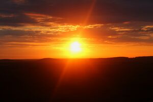 Sun rise100.jpg
