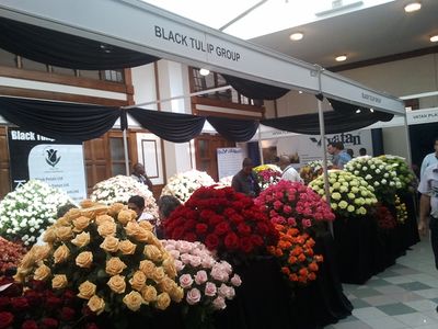 Flower.jpg