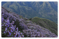 124.png